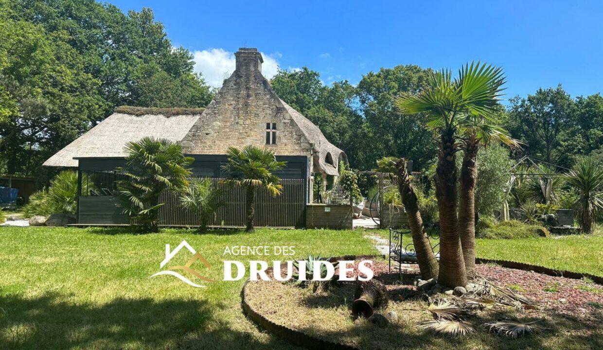 2136-07082025-014134-6