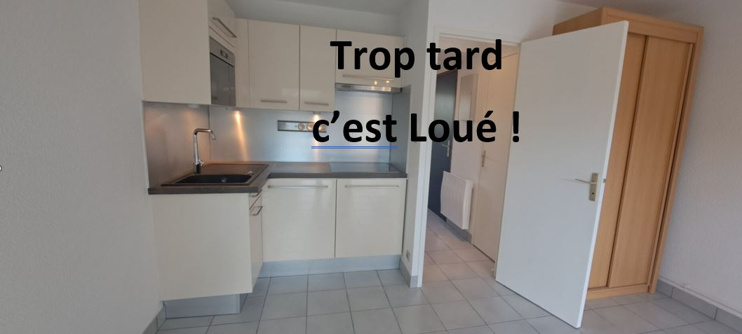 Appartement Carnac 2 pièce(s)  RDC terrasse, 28m²