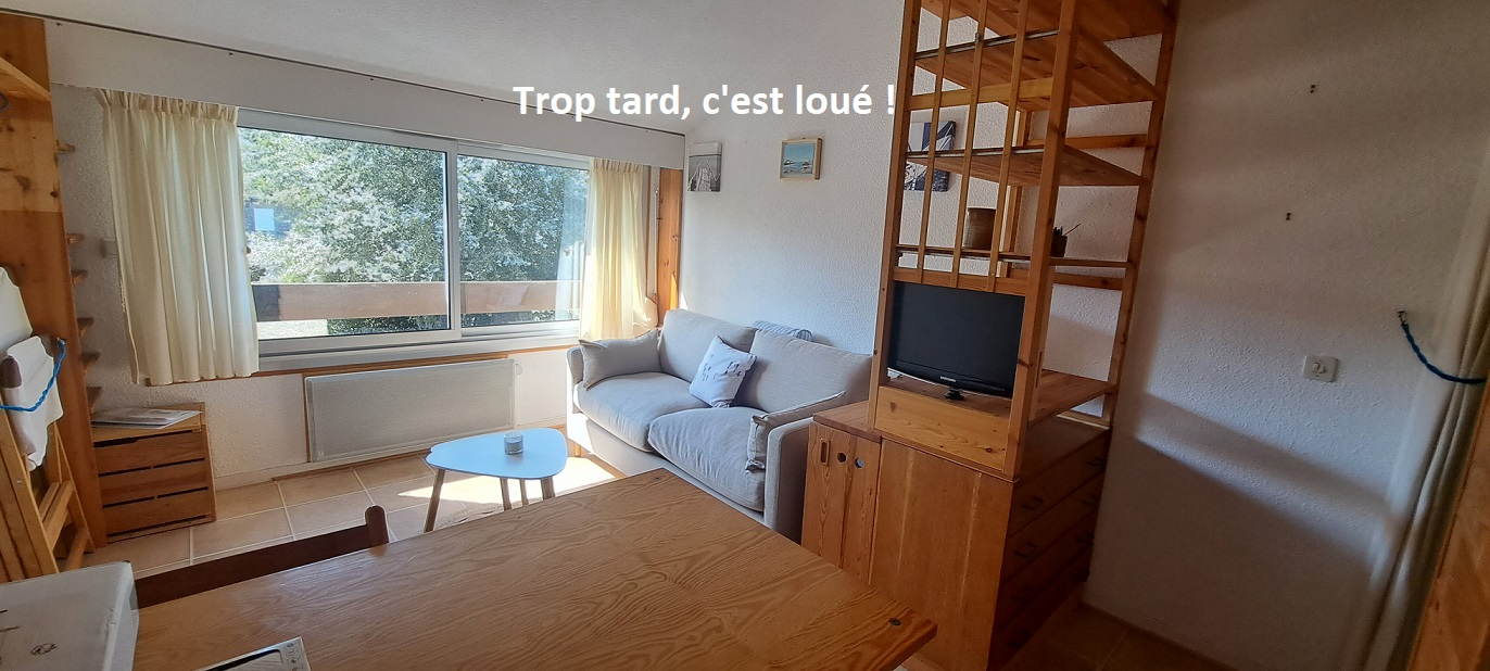 Appartement 1 pièce de 18.48 m2 LOCATION ANNEE MEUBLEE