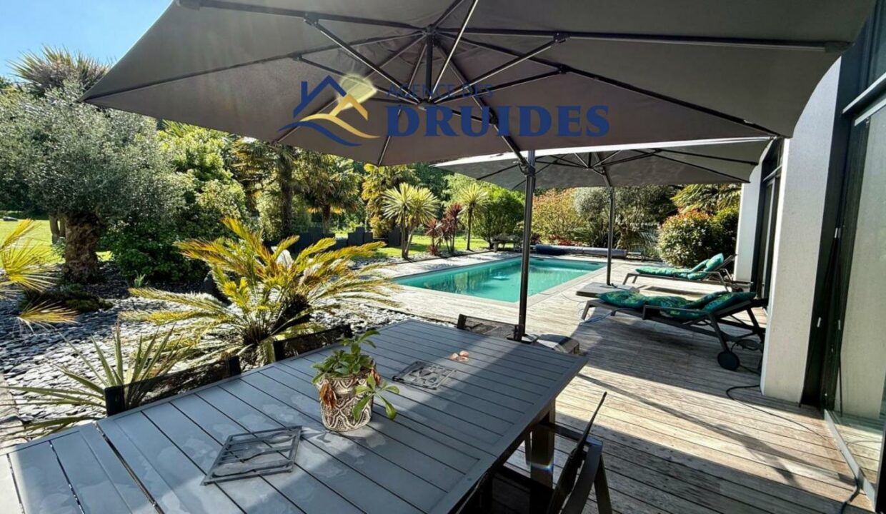 2140-13112025-024706-1