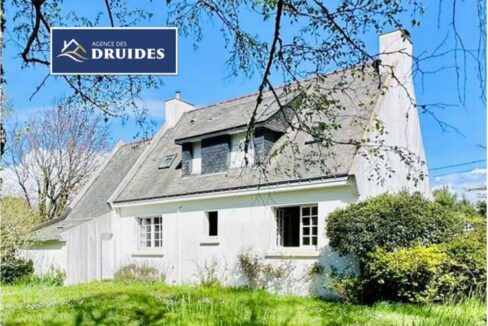 2219-13112025-024704