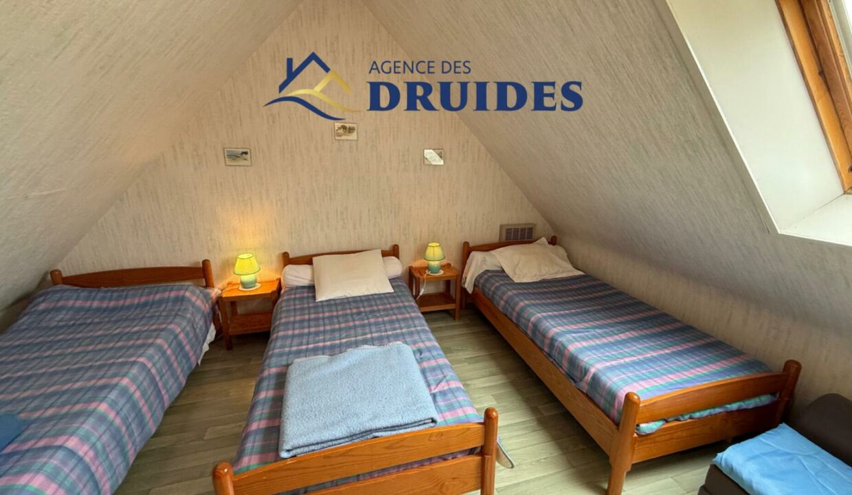 2228-13112025-024659-6