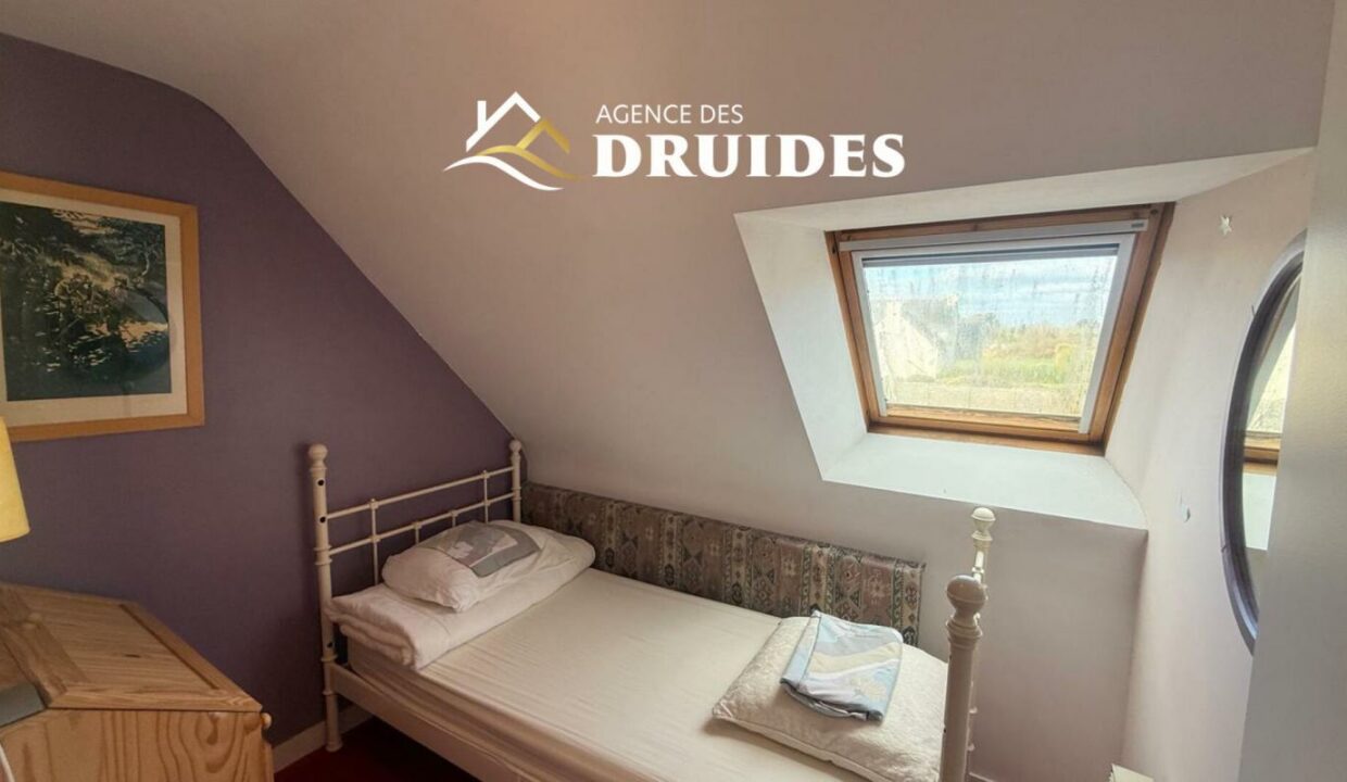 2231-13112025-024656-12