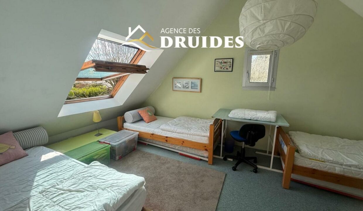 2231-13112025-024656-13