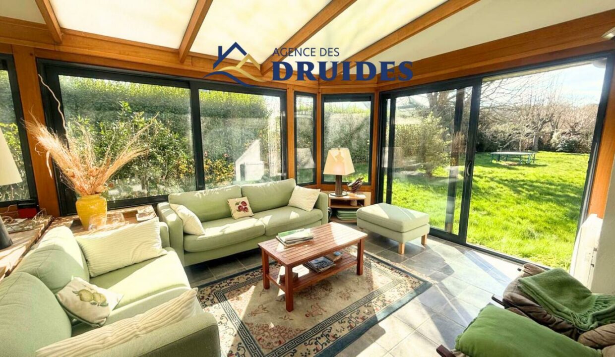 2231-13112025-024656-3