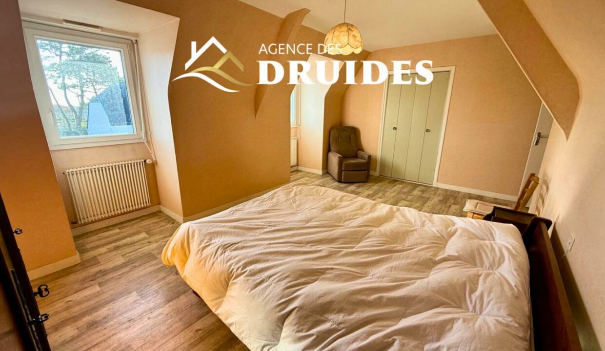 2233-20112025-034247-6