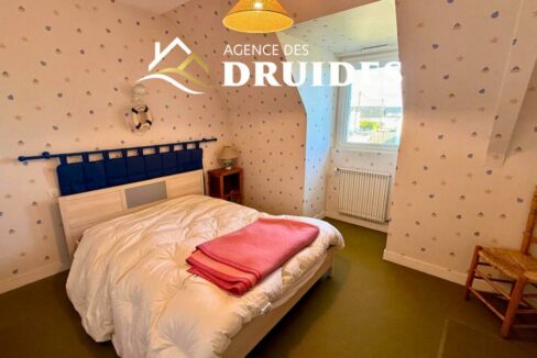 2233-20112025-034247-7