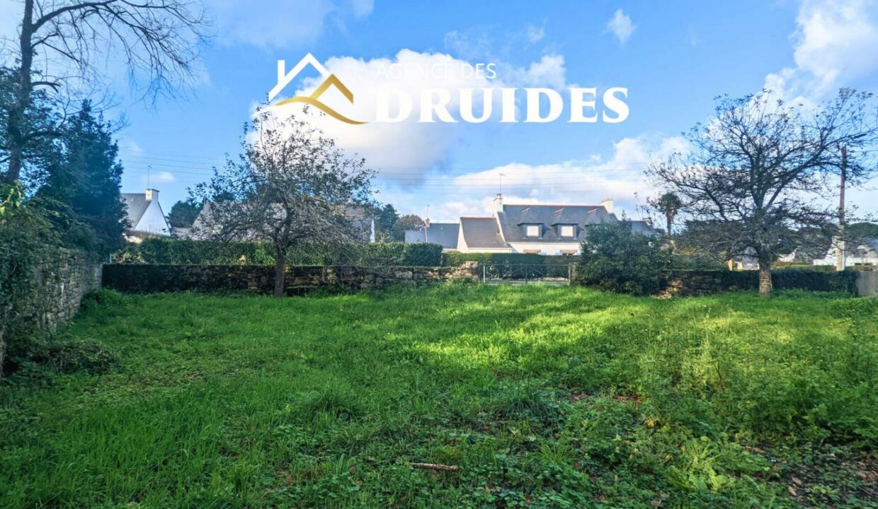 2235-21112025-032340-1