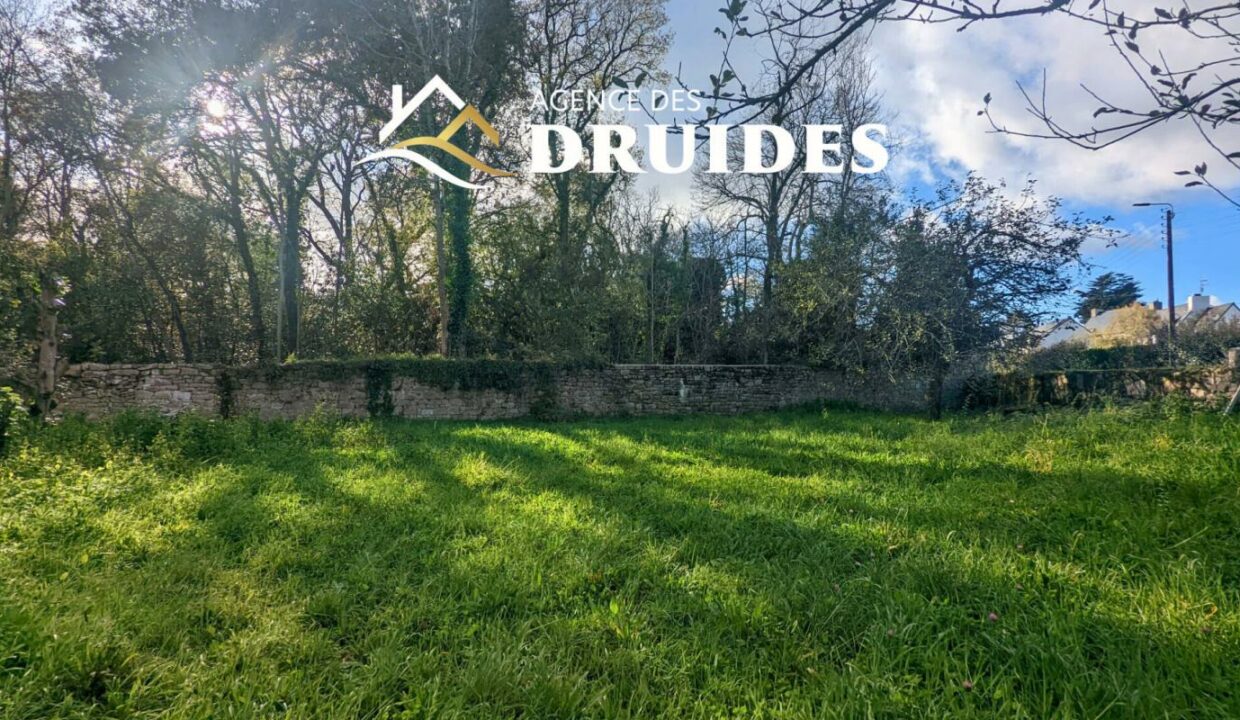 2235-21112025-032340