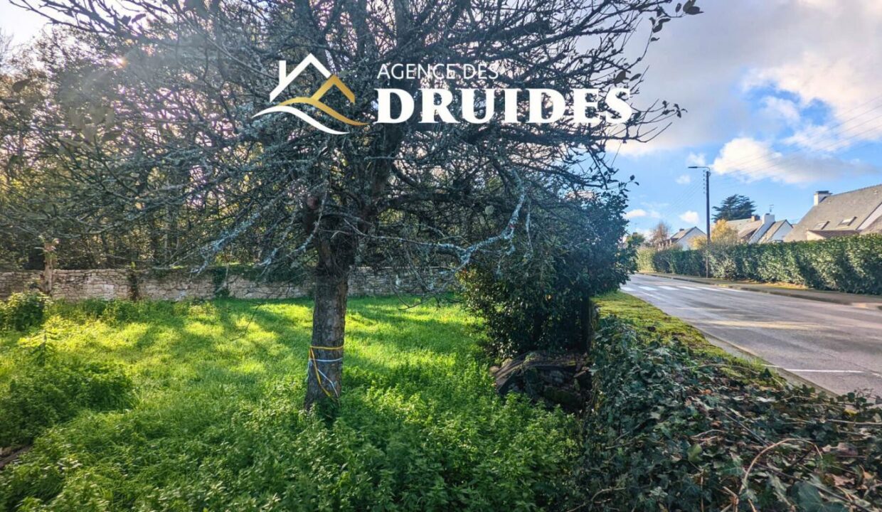 2235-21112025-032340-3