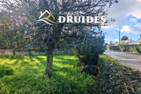 2235-21112025-032340-3