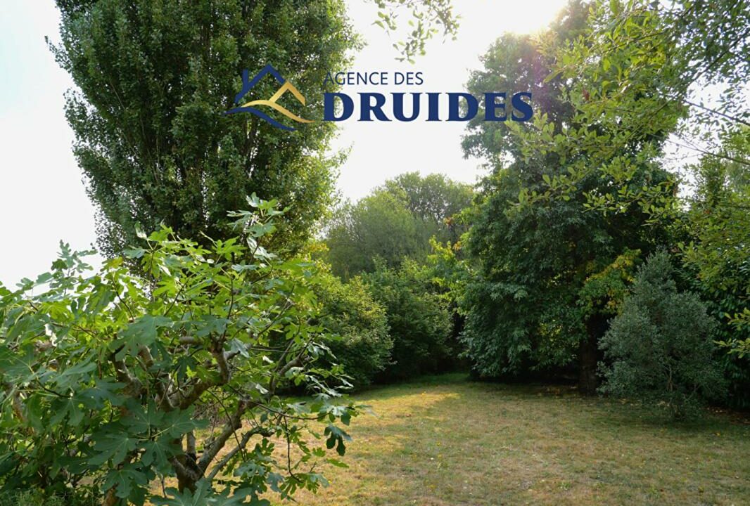 2242-28112025-083931-8