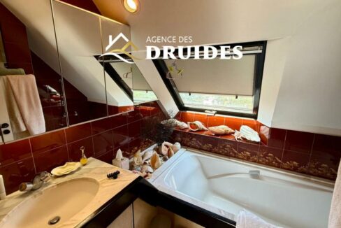 GT11688-13112025-024327-8