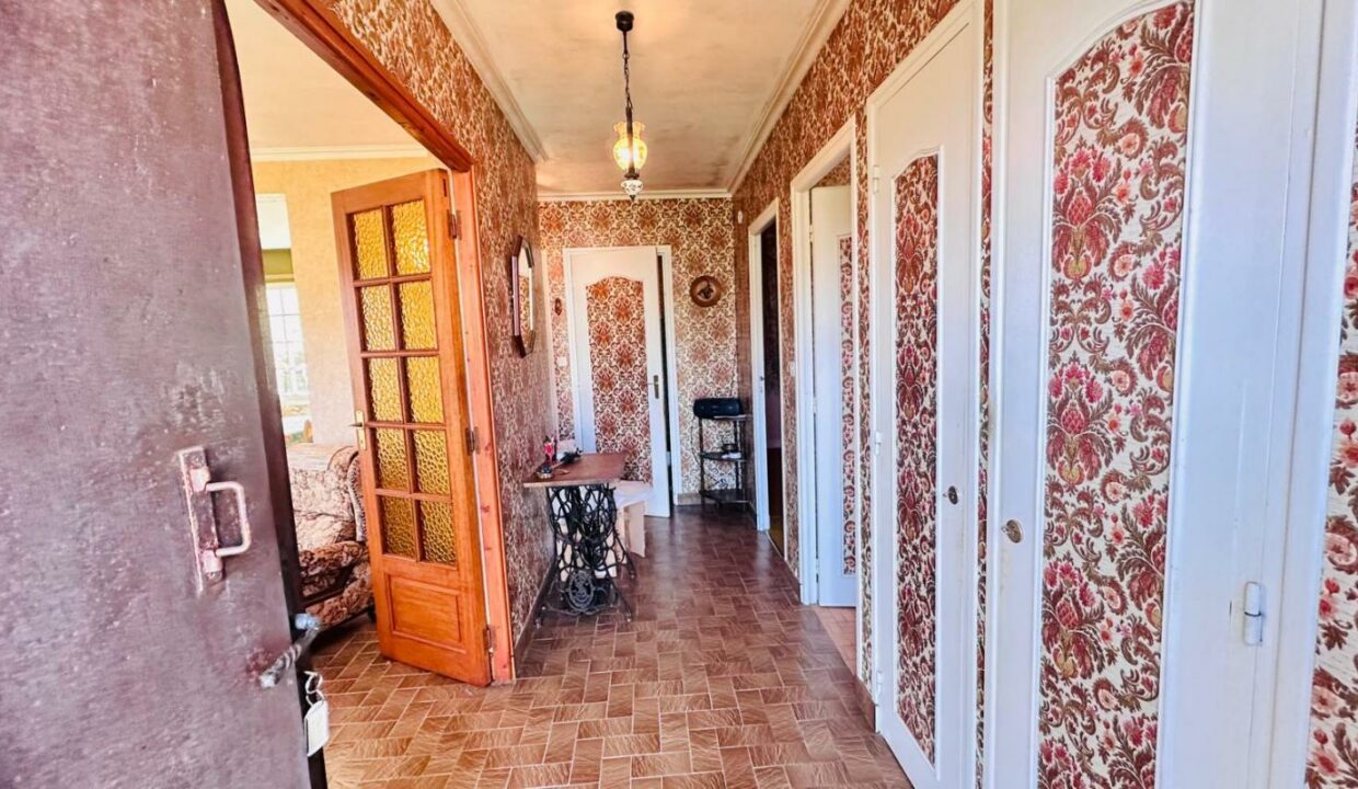 2219-19122025-013555-2