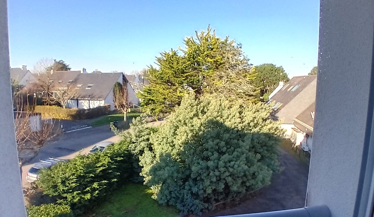 22534-21022026-032415-5