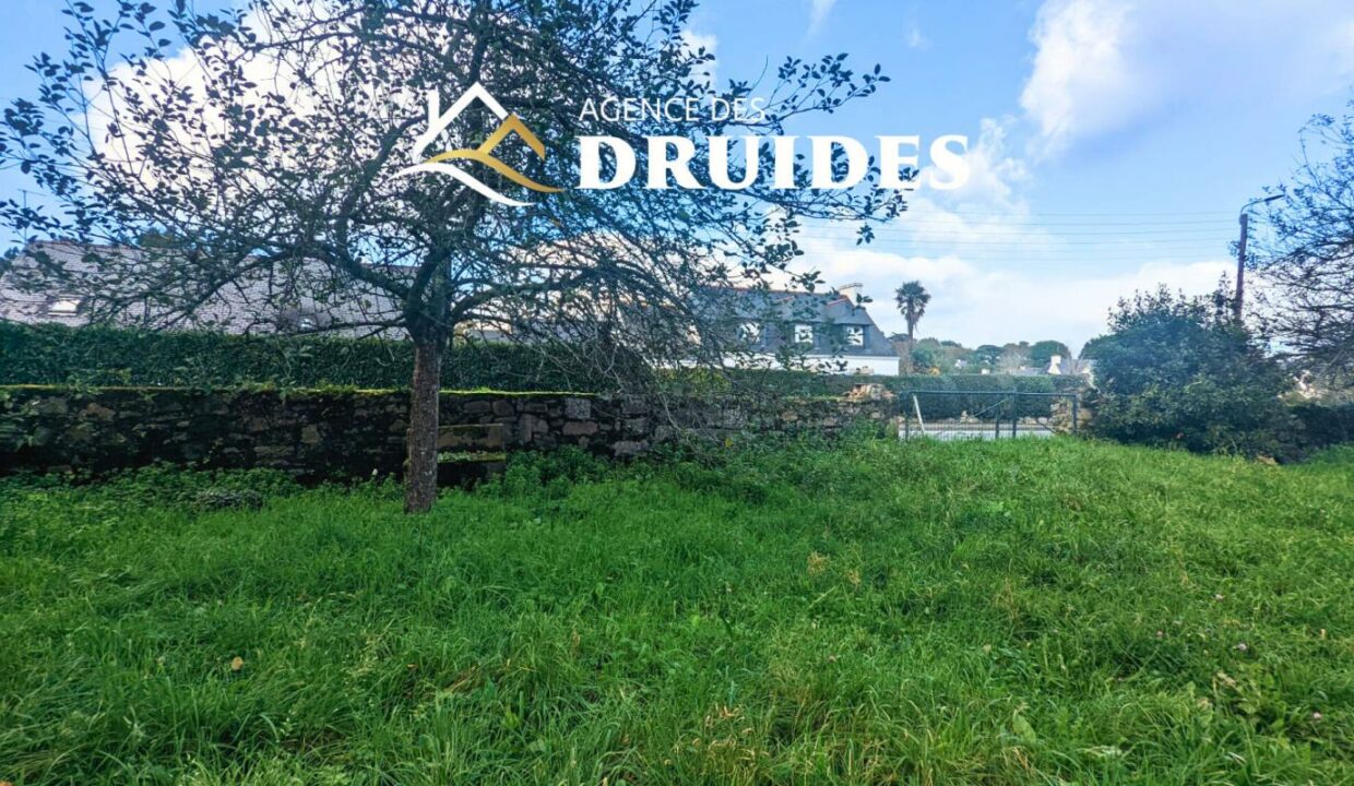 2272-04022026-015405-2