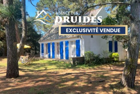 2482-26022026-013332