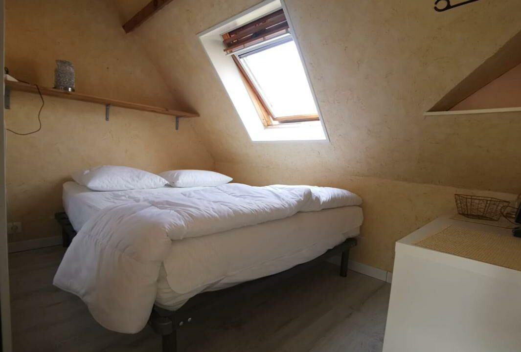 2490-21022026-032142-9