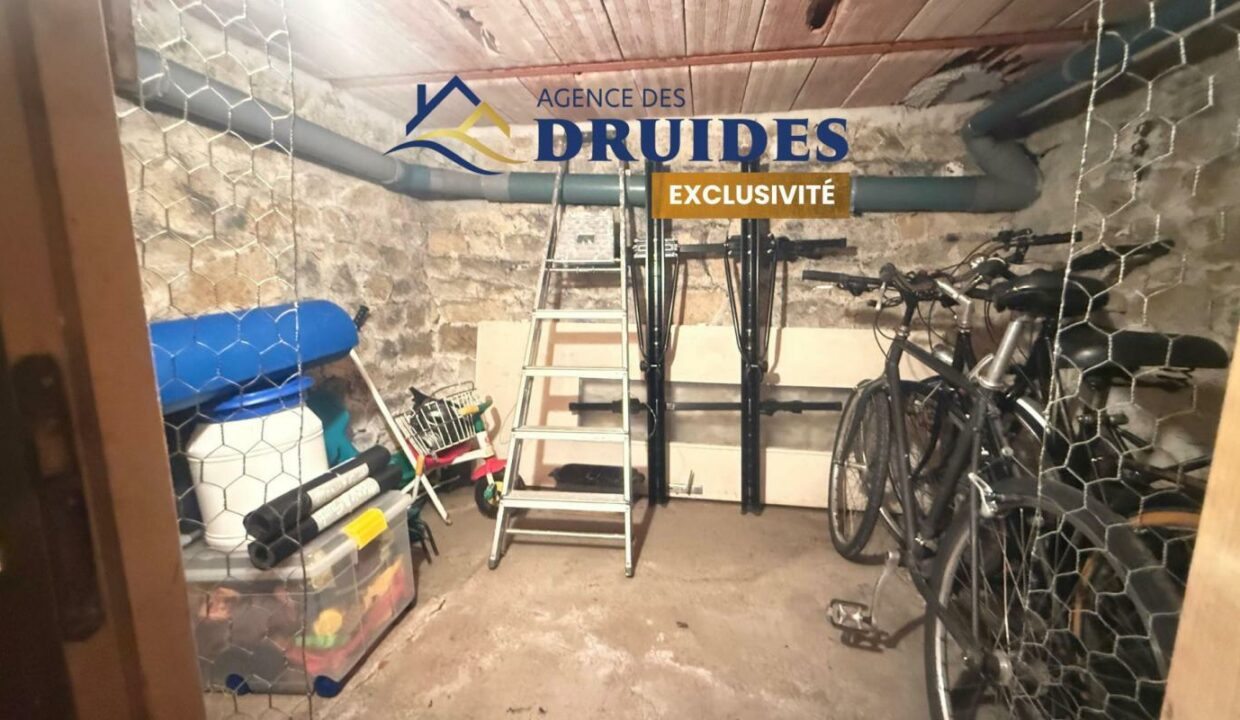 2132-04032026-013728-13