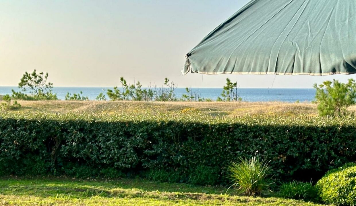 22067-04032026-014059-9