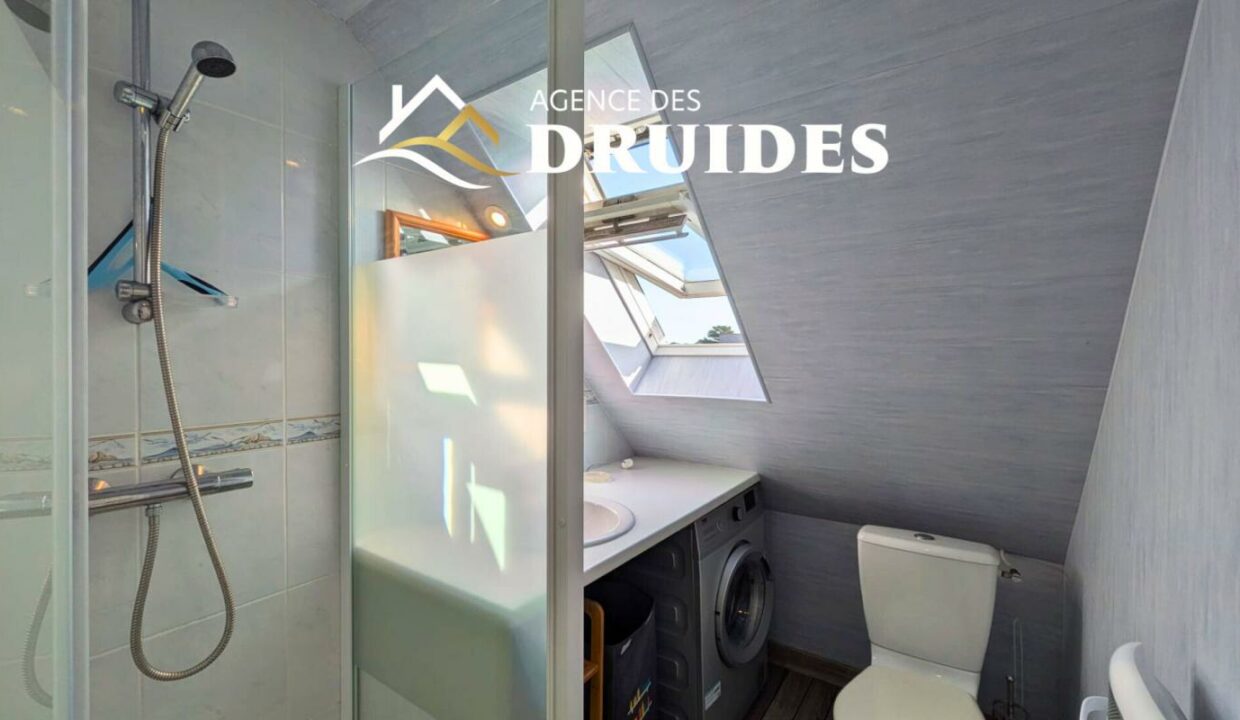 2286-06032026-013321-5