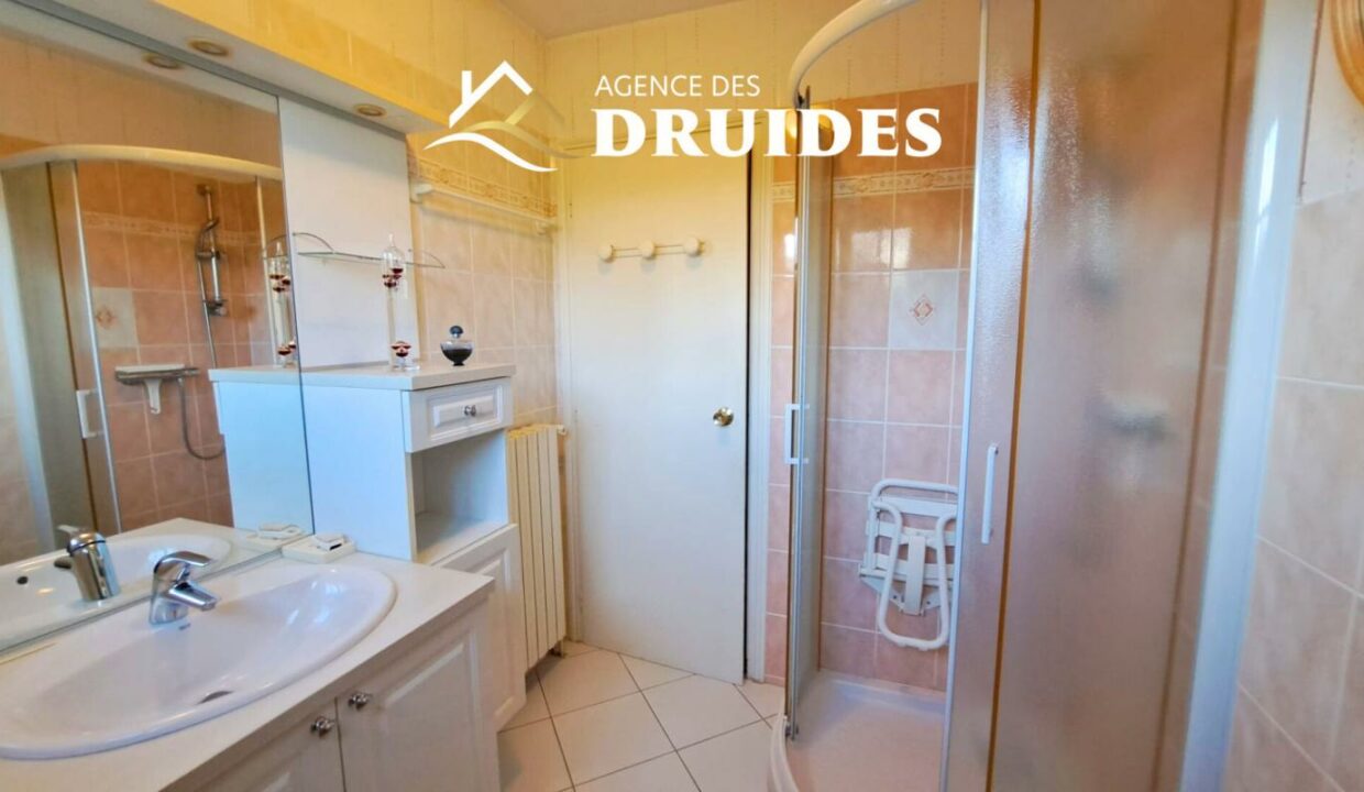 2295-18032026-013312-7