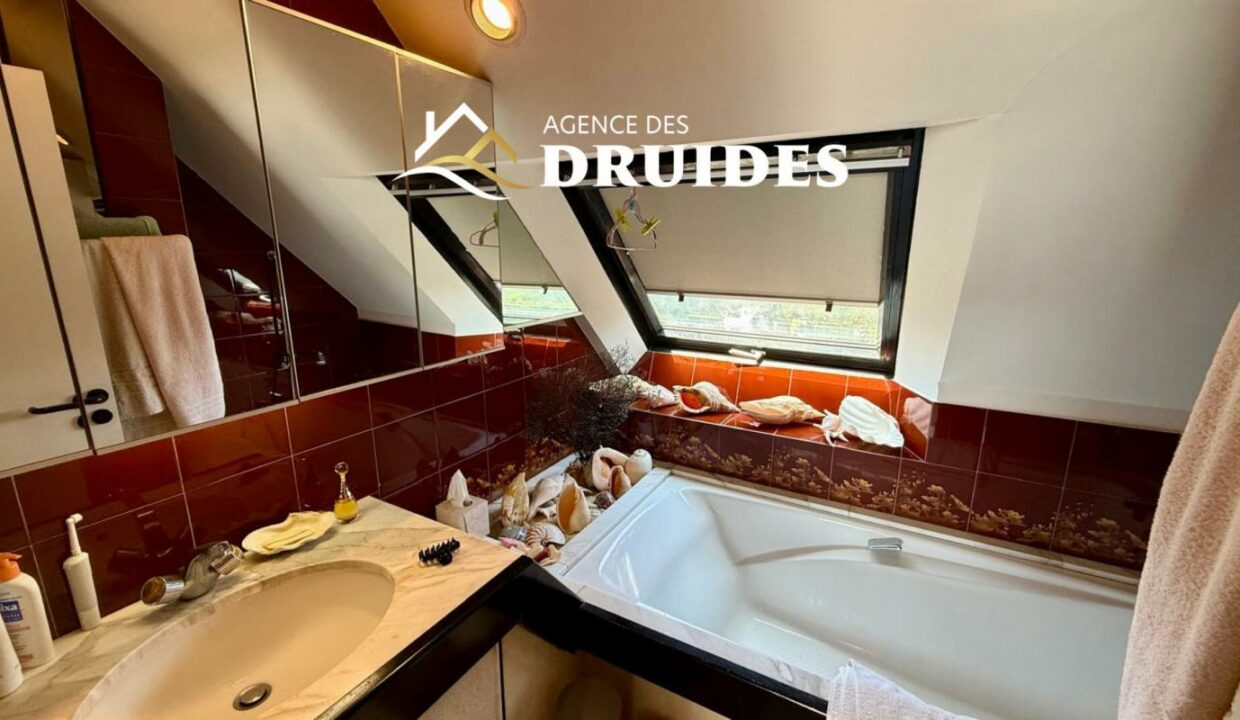 GT11688-04032026-013342-8