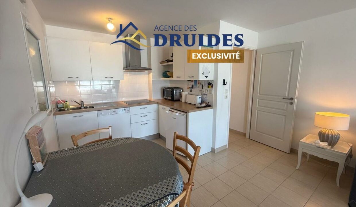 2313-25042026-013322-4