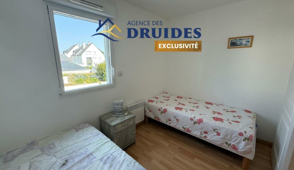 2313-25042026-013322-8