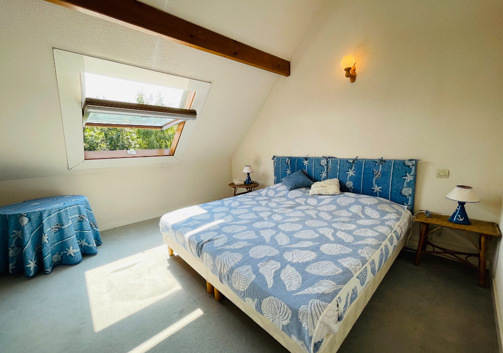 2462-02042026-013537-5